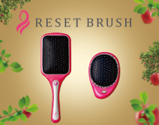 resetbrush